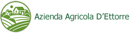 Azienda Agricola D'Ettorre Chieti